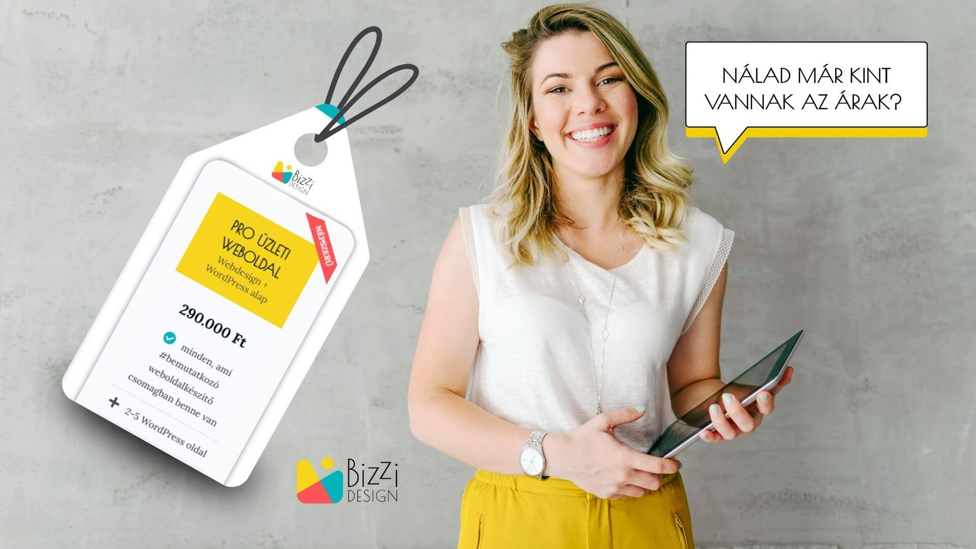 Bizzi Blog - Árazás, árak megjelenítése a weboldaladon