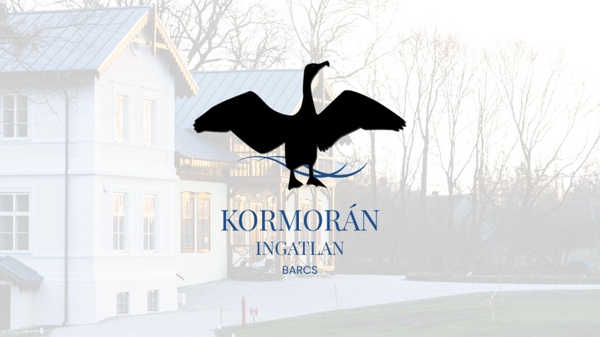Bizzi Design X Kormorán Ingatlan Barcs logo design